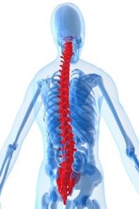 Spine Cord Injury